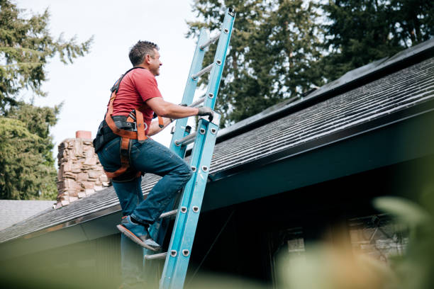 Best Solar Panel Roofing Installation  in Medina, TX